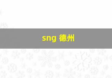 sng 德州